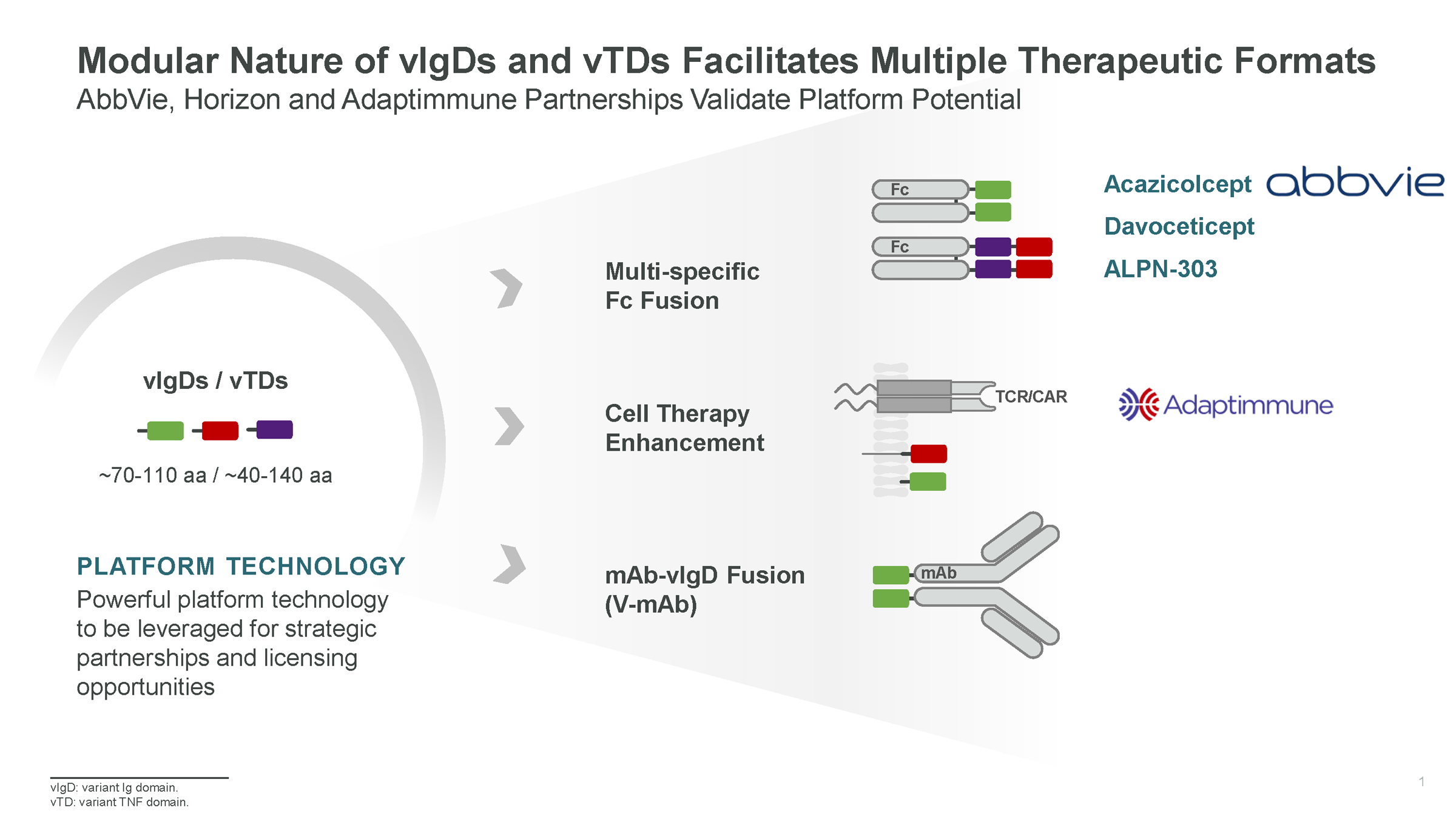 The modular nature of vlgDs and vTDs facilitates multiple therapeutic formats and forms the foundation of our partnerships with AbbVie, Horizon, and Adaptimmune